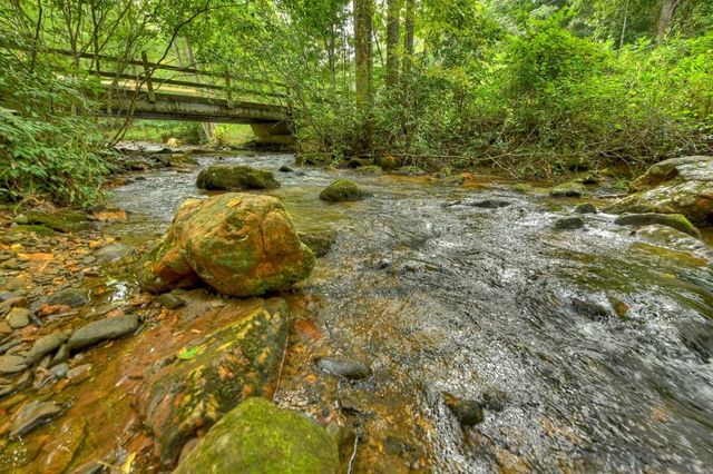 1821 Stanley Creek Road, Cherry Log, GA 30522