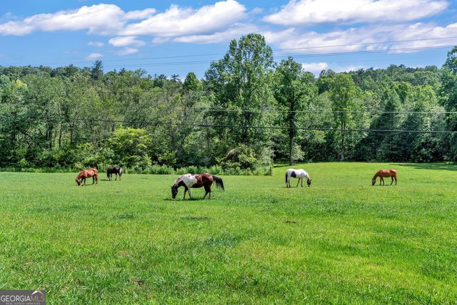 66 Indian Trail, Sautee Nacoochee, GA 30571