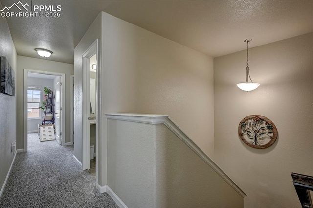 5644 Shamrock Heights, Colorado Springs, CO 80923