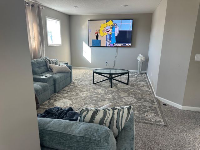 14617 Quintana Street NW, Ramsey, MN 55303