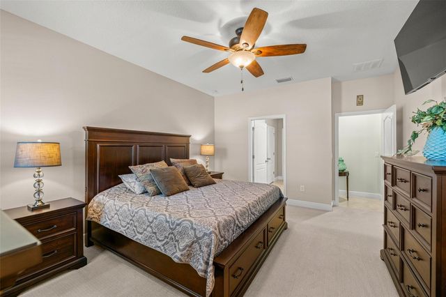 11518 LAKE LUCAYA DRIVE, Riverview, FL 33579