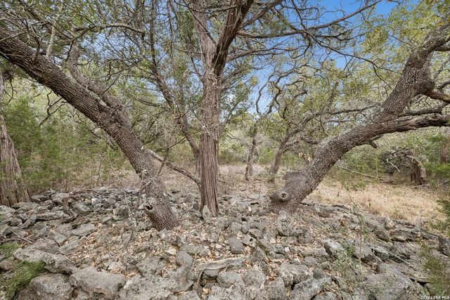 TBD Lazy Forest, New Braunfels, TX 78132