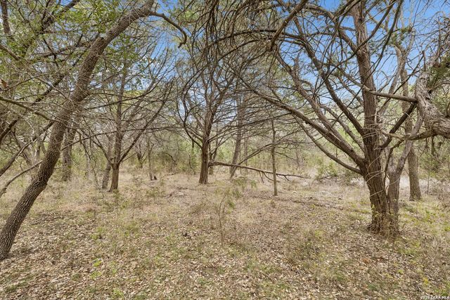 TBD Lazy Forest, New Braunfels, TX 78132