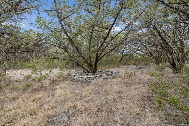 TBD Lazy Forest, New Braunfels, TX 78132
