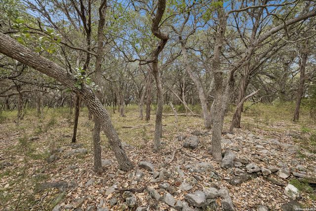 TBD Lazy Forest, New Braunfels, TX 78132
