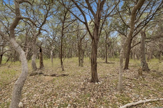 TBD Lazy Forest, New Braunfels, TX 78132