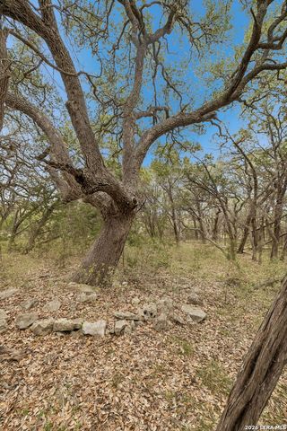 TBD Lazy Forest, New Braunfels, TX 78132