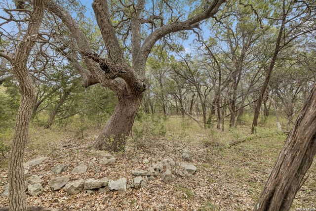 TBD Lazy Forest, New Braunfels, TX 78132
