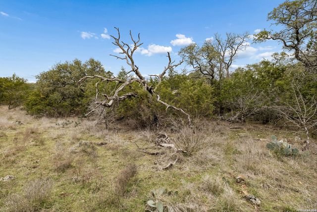 TBD Lazy Forest, New Braunfels, TX 78132
