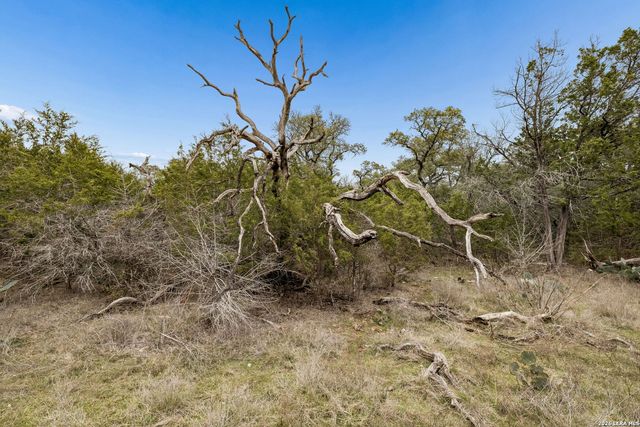 TBD Lazy Forest, New Braunfels, TX 78132