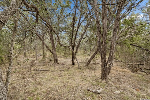 TBD Lazy Forest, New Braunfels, TX 78132