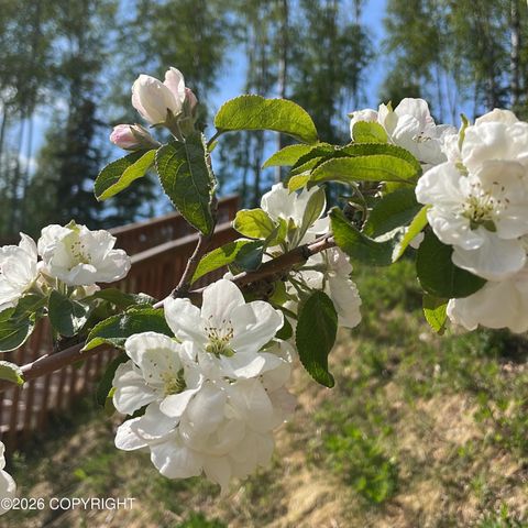 7151 S Frontier Drive, Wasilla, AK 99623