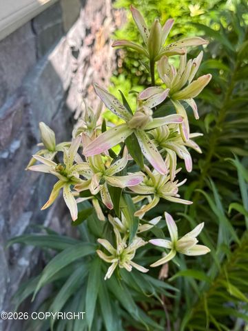 7151 S Frontier Drive, Wasilla, AK 99623