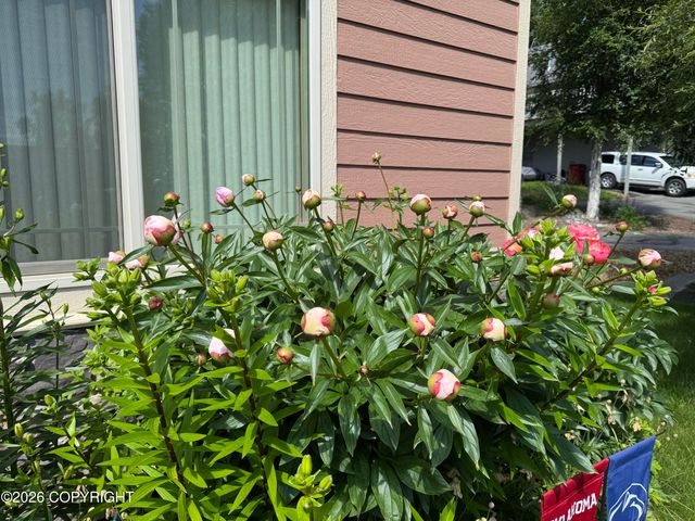 7151 S Frontier Drive, Wasilla, AK 99623