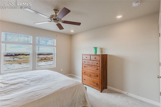 8019 Moosejaw Drive, Colorado Springs, CO 80908