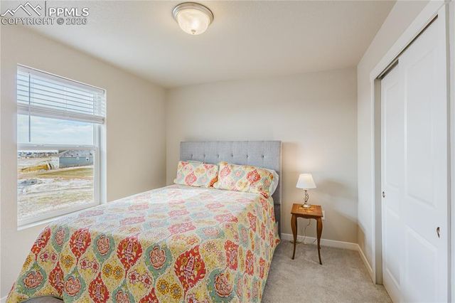 8019 Moosejaw Drive, Colorado Springs, CO 80908