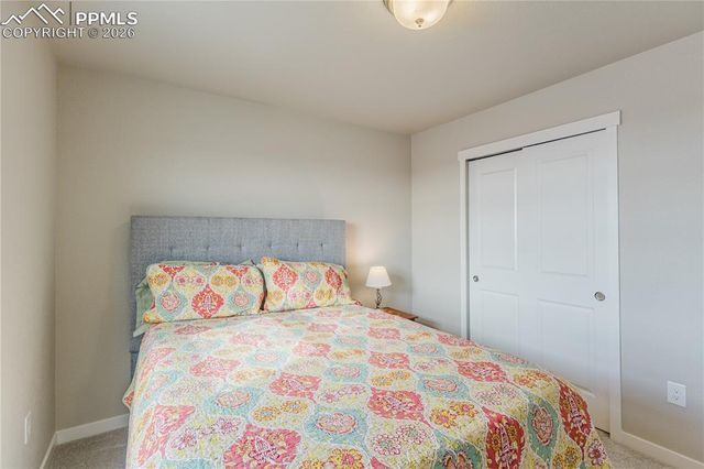 8019 Moosejaw Drive, Colorado Springs, CO 80908