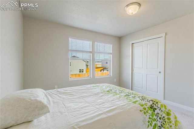 8019 Moosejaw Drive, Colorado Springs, CO 80908