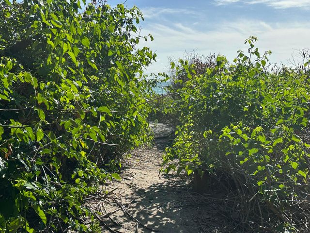 4200 N Surf Road, Hollywood, FL 33019