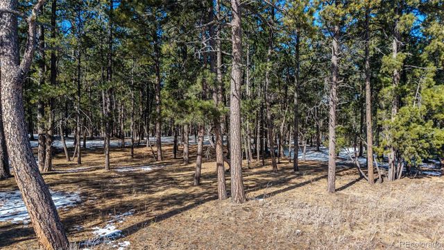 10775 Hardy Road, Colorado Springs, CO 80908
