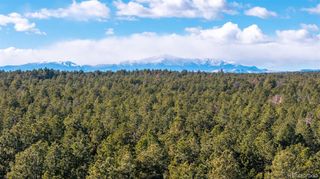 10775 Hardy Road, Colorado Springs, CO 80908