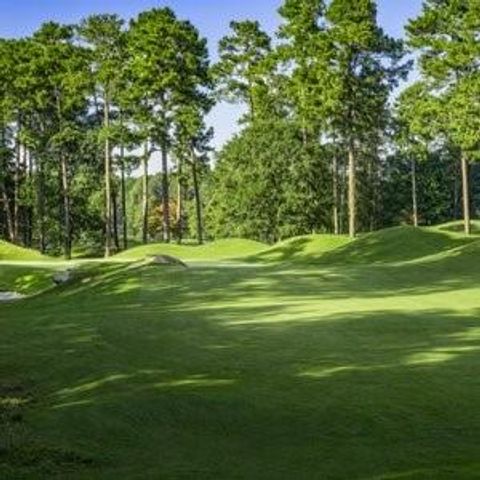 4502 Greenside Walk, Austell, GA 30106