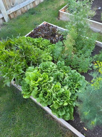 533 NW 7th Street, Redmond, OR 97756