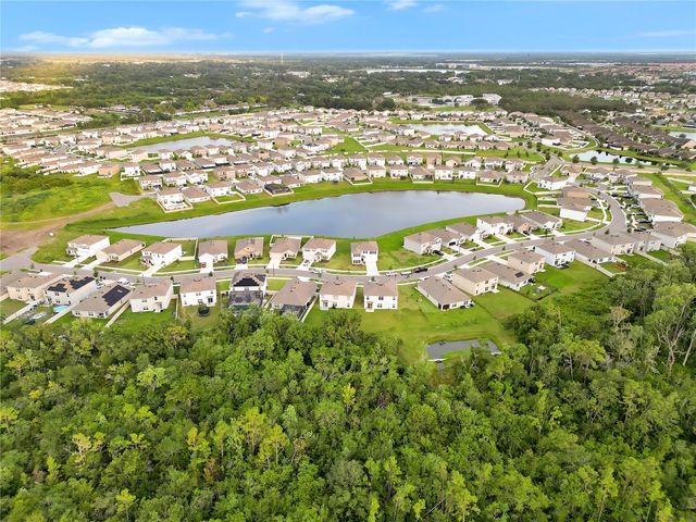 16636 WINDMILL FORGE PASS, Wimauma, FL 33598