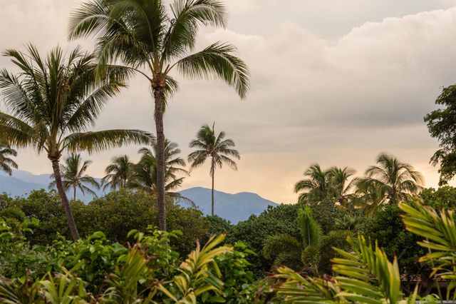 43 Nonohe Pl, Paia, HI 96779