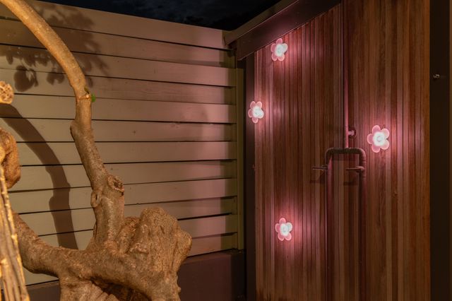 43 Nonohe Pl, Paia, HI 96779