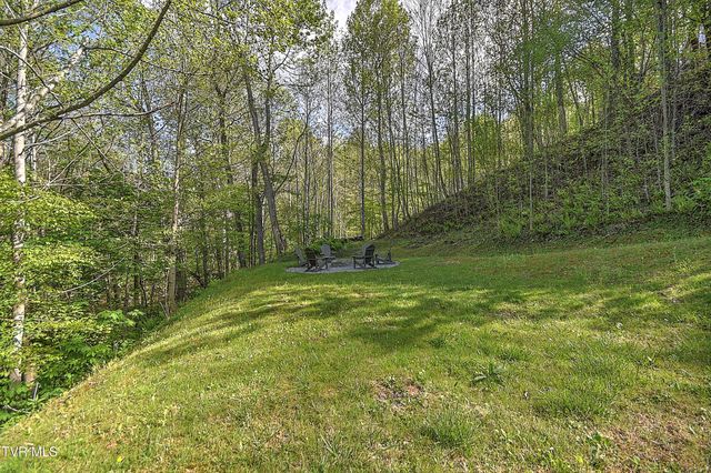 410 Eagle Ridge Road, Roan Mountain, TN 37687