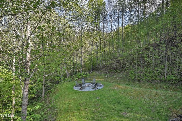 410 Eagle Ridge Road, Roan Mountain, TN 37687