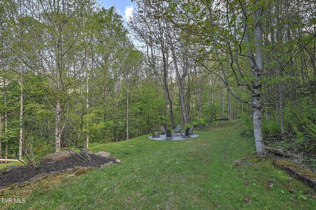410 Eagle Ridge Road, Roan Mountain, TN 37687