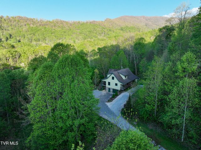 410 Eagle Ridge Road, Roan Mountain, TN 37687