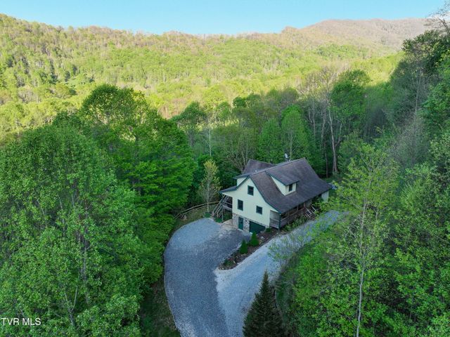 410 Eagle Ridge Road, Roan Mountain, TN 37687