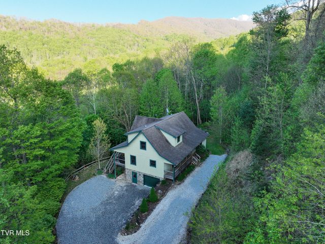 410 Eagle Ridge Road, Roan Mountain, TN 37687