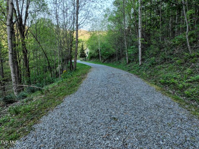 410 Eagle Ridge Road, Roan Mountain, TN 37687