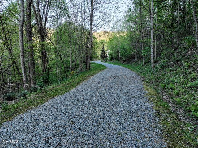 410 Eagle Ridge Road, Roan Mountain, TN 37687