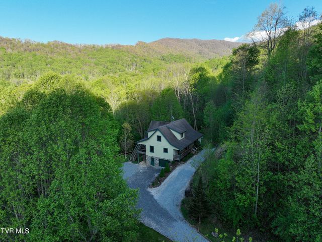 410 Eagle Ridge Road, Roan Mountain, TN 37687