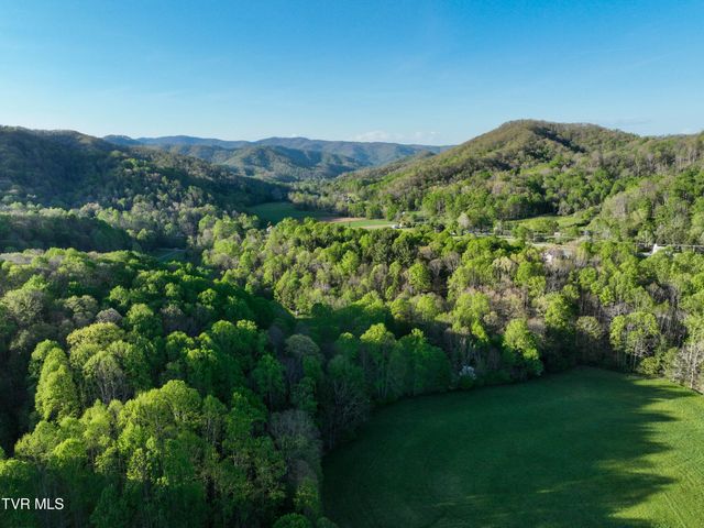 410 Eagle Ridge Road, Roan Mountain, TN 37687