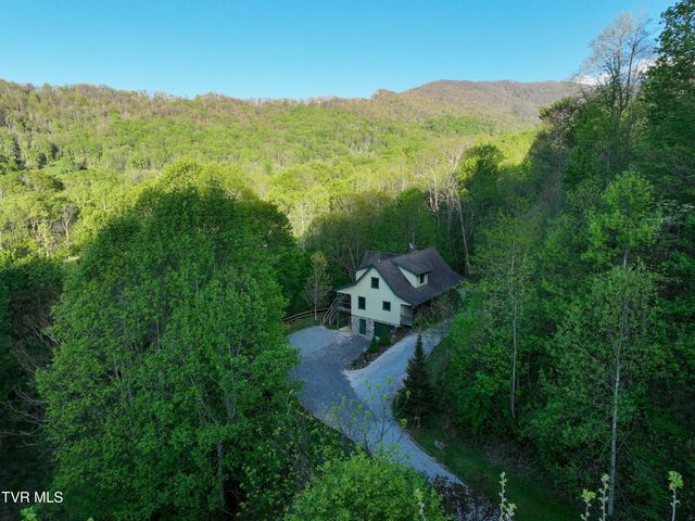 410 Eagle Ridge Road, Roan Mountain, TN 37687