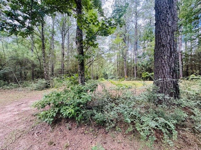 107A Brock Road, Tylertown, MS 39667
