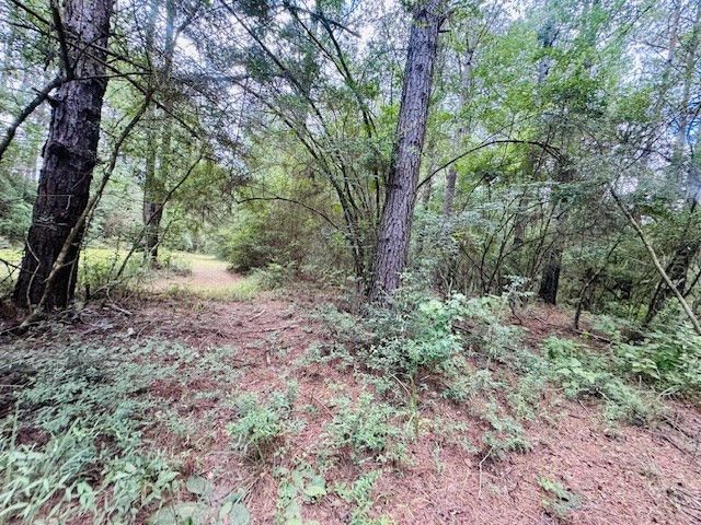 107A Brock Road, Tylertown, MS 39667