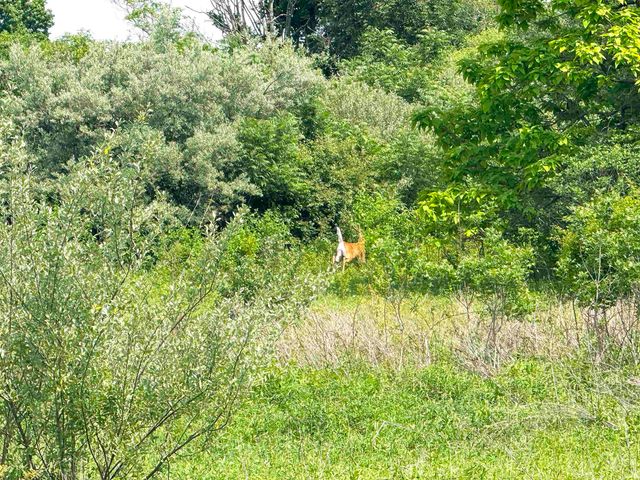 18568 6TH Road, Plymouth, IN 46563