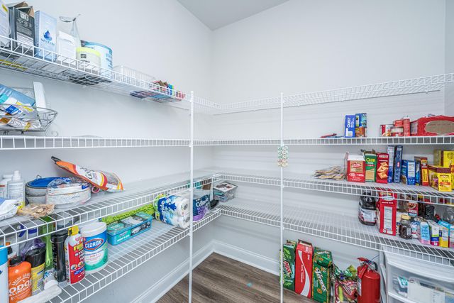 3013 Flat Rock Lane, Ridgeville, SC 29472