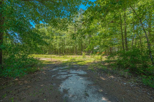 3013 Flat Rock Lane, Ridgeville, SC 29472