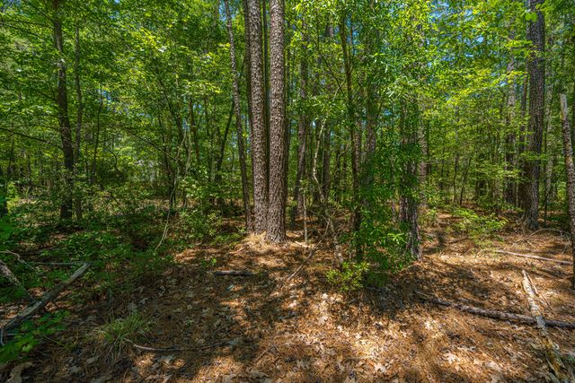 3013 Flat Rock Lane, Ridgeville, SC 29472