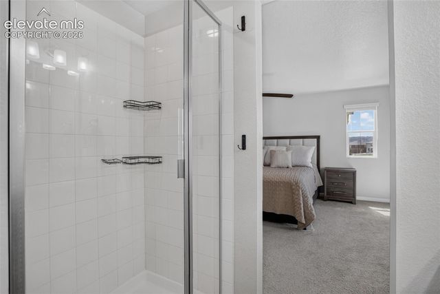 1835 Villageview Lane, Castle Rock, CO 80104