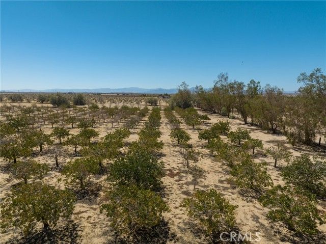 42797 Navajo, Newberry Springs, CA 92365
