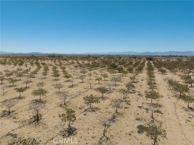 42797 Navajo, Newberry Springs, CA 92365